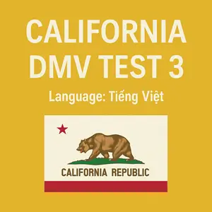 California DMV Instruction Permit Practice Test in Vietnamese Language