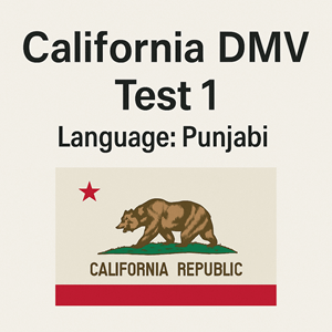 CA DMV Practice Test in Punjabi