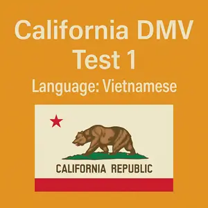 CA DMV Practice Test in Vietnamese