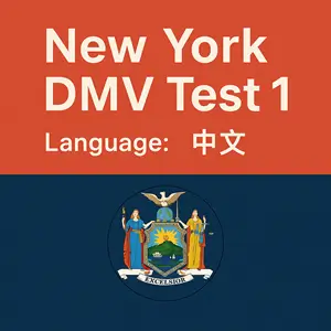 New York State DMV Practice Test in Chinese