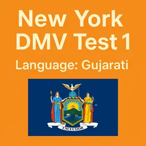 New York State DMV Practice Test in Gujarati