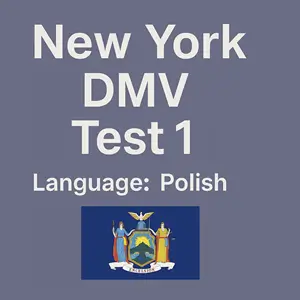 New York State DMV Practice Test in Polish