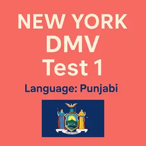 New York State DMV Practice Test in Punjabi