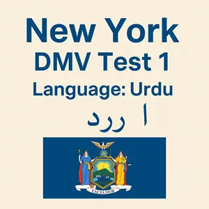 New York State DMV Practice Test in Urdu
