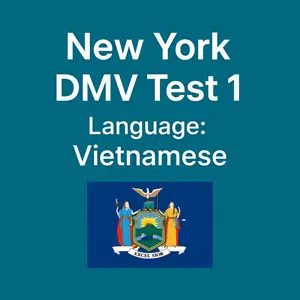 NY DMV Practice Test in Vietnamese