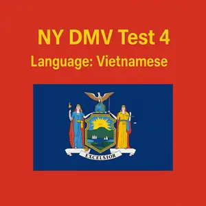 FREE NYC DMV Questions Answers in Vietnamese PDF
