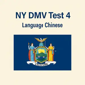 NYS DMV Questions and Answers in Chinese PDF
