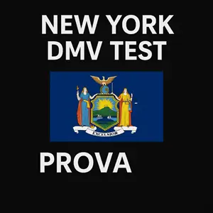 New York City DMV Permit Test Questions in Italian
