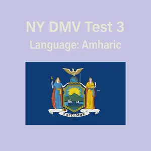 FREE New York Driving Theory Test in Amharic language