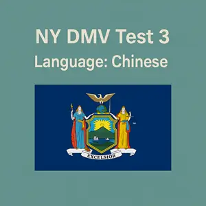 Free New York Driving Theory Test in 中国人 language