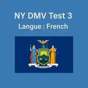 FREE New York Driving Theory Test in Français language