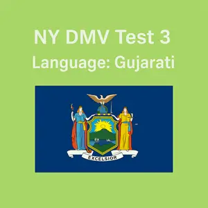 Free New York Driving Theory Test in Gujarati