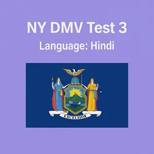 Free New York Driving Theory Test in Hindi Language