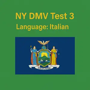 FREE New York Driving Theory Test in Italian Language