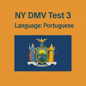FREE New York Driving Theory Test in Portuguese language