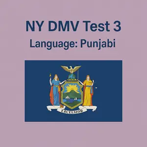 FREE New York Driving Theory Test in Punjabi language