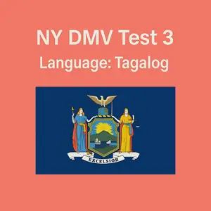Free New York Driving Theory Test in Tagalog language