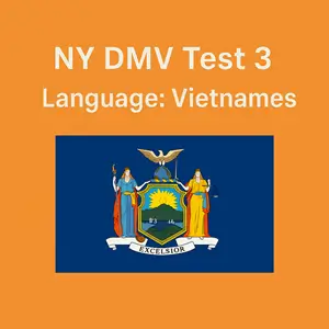 Free New York Driving Theory Test in Vietnamese
