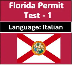 FL Driver’s License Test Questions Answers in Italian