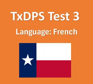 Texas DMV Driver’s Permit Test Quiz in French Online