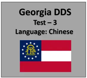 Georgia DMV Permit Test Online Chinese