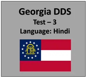 Georgia DMV Permit Test Online in Hindi