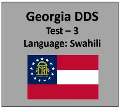 Georgia DMV Permit Test Online in Swahili