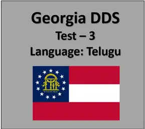Georgia DMV Permit Test Online in Telugu