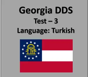 Georgia DMV Permit Test Online in Turkish