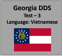Georgia DMV Permit Test Online in Vietnamese